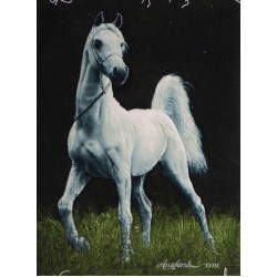 تابلو فرش اسب سفید