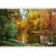 autumn and river views tableau carpets